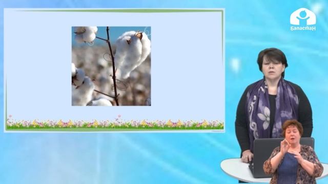 2 класс/ Родиноведение / Хлопчатник / 18.05.2020 смотреть онлайн