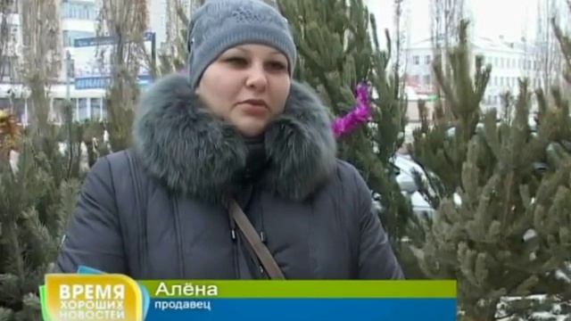 Сколько стоит, где купить и как сохранить зеленый атрибут праздника - елку