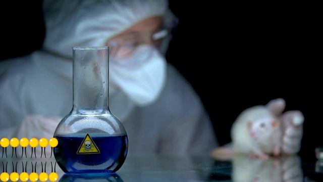 ФОСФОЛИПИДЫ -ЧТО ЭТО? ПОЧЕМУ ТАК ВАЖНЫ? В КАКИХ ПРОДУКТАХ ЕСТЬ?
