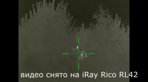 iRay Rico RL42 ЛОСЬ на ГОНУ и КАБАН с ВЫШКИ