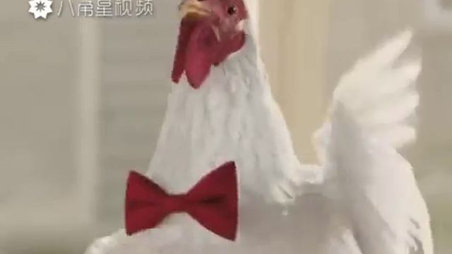 Куд-кудах