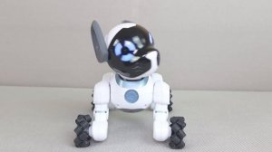 НОВЫЙ ДРУГ ЖЕЛЕЙНОГО МЕДВЕДЯ ВАЛЕРЫ