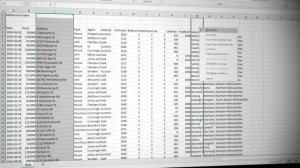 Practice Video  Spreadsheet Design Principles