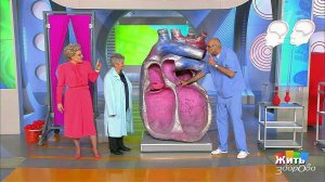 Недостаточность аортального клапана. Жить здорово! Фрагмент выпуска от 19.01.2017