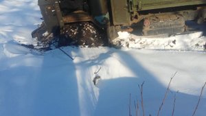 газ 66 на арочных колесах штурмуем болото