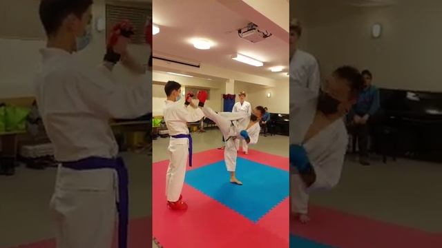 Roundhouse kick training