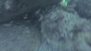 Подводная охота в Абрау-Дюрсо