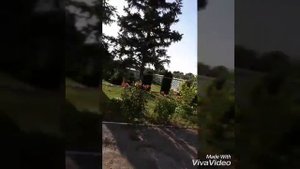 Ставропольский край , поселок Терек