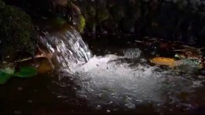 ФУТАЖ ВОДОПАД  РОДНИК