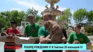 РЕКОРД РОЖДЕНИЯ! В Тайгане 30 малышей!