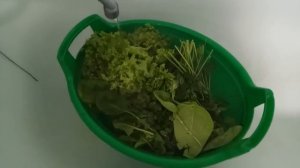 Питание дискусов 3 (Ингредиенты фарша).