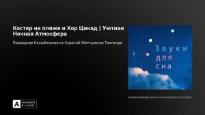 Костер на пляже и Хор Цикад | Уютная Ночная Атмосфера