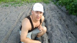 Посев и выращивание пекинской капусты