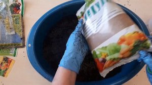 Грунт (смесь, присыпка)  для посева семян. Состав и приготовление.