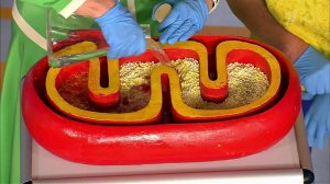 Сколько лет вашему сердцу? Жить здорово! Фрагмент выпуска от 03.12.2015