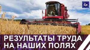 В белорусских полях собрано более 1 миллиона 800 тысяч тонн зерна. Панорама