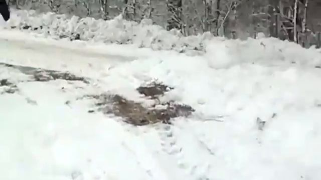 я не много псих наверно а во всём виновата любовь смотреть онлайн