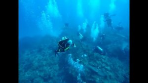 Дайвинг с акулами на Кубе