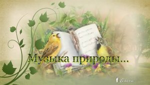 Музыка природы*