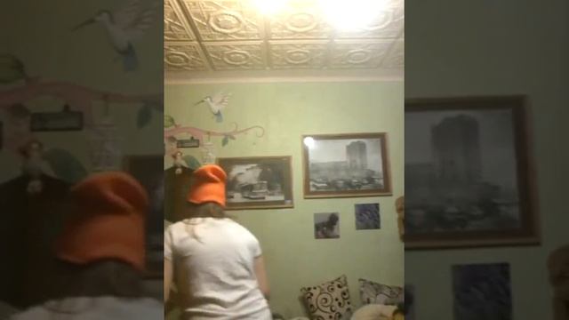 Обзор курток, парки))) смотреть онлайн