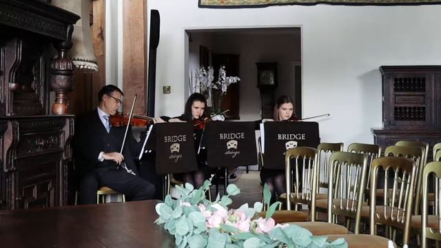 Bridge Strings - I See The Light - Tangled - Birtsmorton Court - Wedding Music смотреть онлайн
