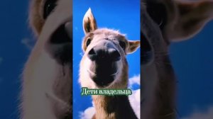 Притча про осла и дьявола