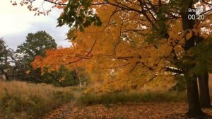 1-Hour Study With Me | Pomodoro 25/5 | Lofi Music