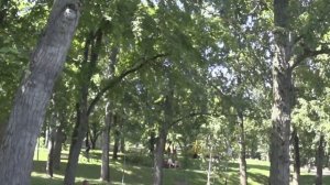 Пруд Бекет (подводная съемка)