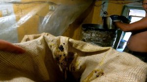 ||ДЕНЬ 850|| Топим воск. Воскопресс.