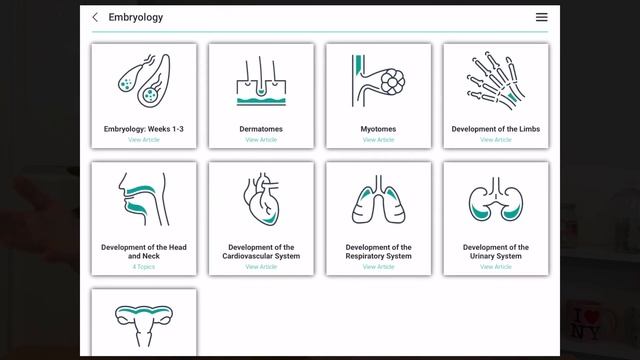 5 FREE apps for Medical Students (for productivity, anatomy & focus)