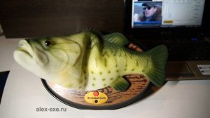 Говорящая рыба