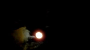 NIKON Coolpix P1000 ?