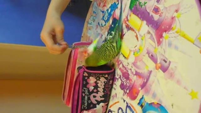 Мой питомец смотреть онлайн