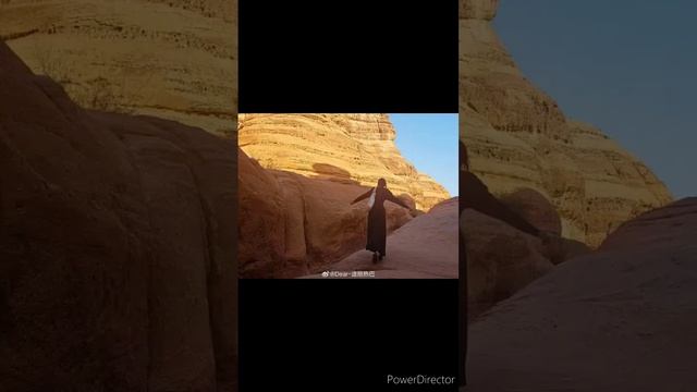 Дильраба опубликовала серию снимков из новой фотосессии. смотреть онлайн