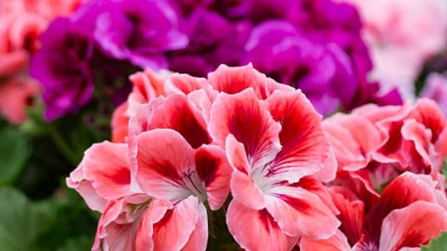 Парень спас девушку и отдал на такси для нее ПОСЛЕДНИЕ ДЕНЬГИ. Вскоре его жизнь круто изменилась... смотреть онлайн