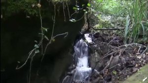 Гордость и высокомерие – гибель для человека  Никон (Воробьев)