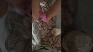 Отправляй лп которая не отвечает!!!😁