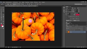 Выделение объекта при помощи быстрой маски в Photoshop
