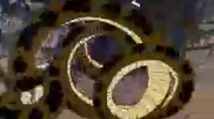 Маугли и Каа