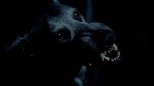 НЕ ДЕТСКИЕ СКАЗКИ- Сибирская Жуть/ОНИ существуют/СТРАШНЫЕ ИСТОРИИ #1