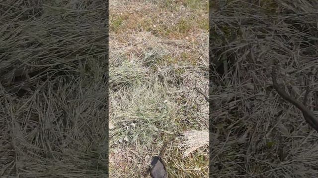 Майские дни в деревне! Работаем не покладая рук | Лучшая Ферма смотреть онлайн