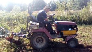 выкапываем картошку (трактором)