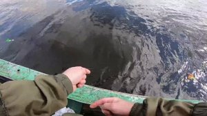 Рыбалка Осенью "ФАРВАТЕРНЫЕ ЛЕЩАТНИКИ ЗАКРЫТИЕ". Рыбалка на Леща с Лодки, Волга, ГИМС, Октябрь 2018