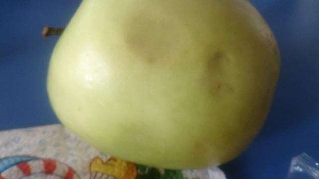 Диета Кима Протасова. День первый смотреть онлайн