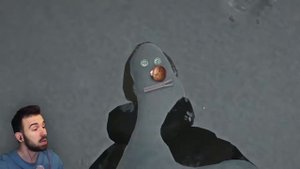 Смешная нарезка с Юджином The Long Dark #7