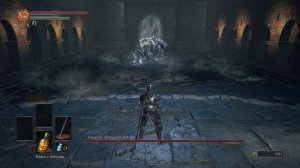 Dark Souls III "Приколы и Баги" #2