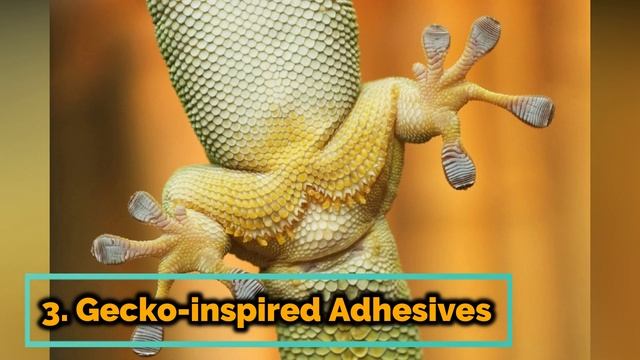 Bioinspired Technology And Showcase Five Incredible Man-Made Machines смотреть онлайн