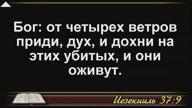 Церковь "Вифания" г. Минск. Богослужение 7 ноября 2018 г. смотреть онлайн