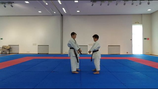 Кихон Ипон Кумитэ на синий пояс 4 кю смотреть онлайн