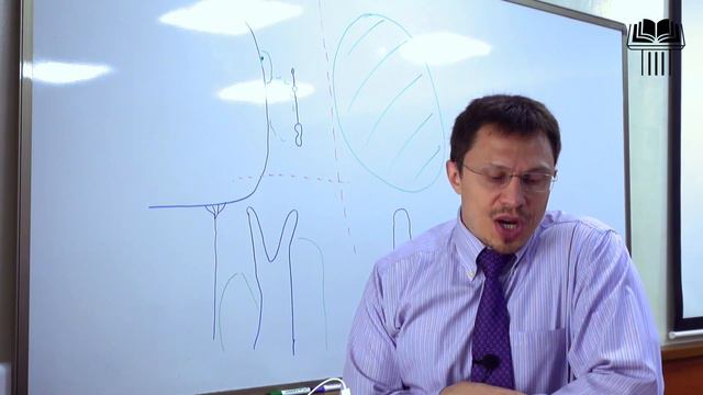 Часть-2 История языка | Семинар «Начальная грамматика древнееврейского языка» | Алексей Прокопенко
